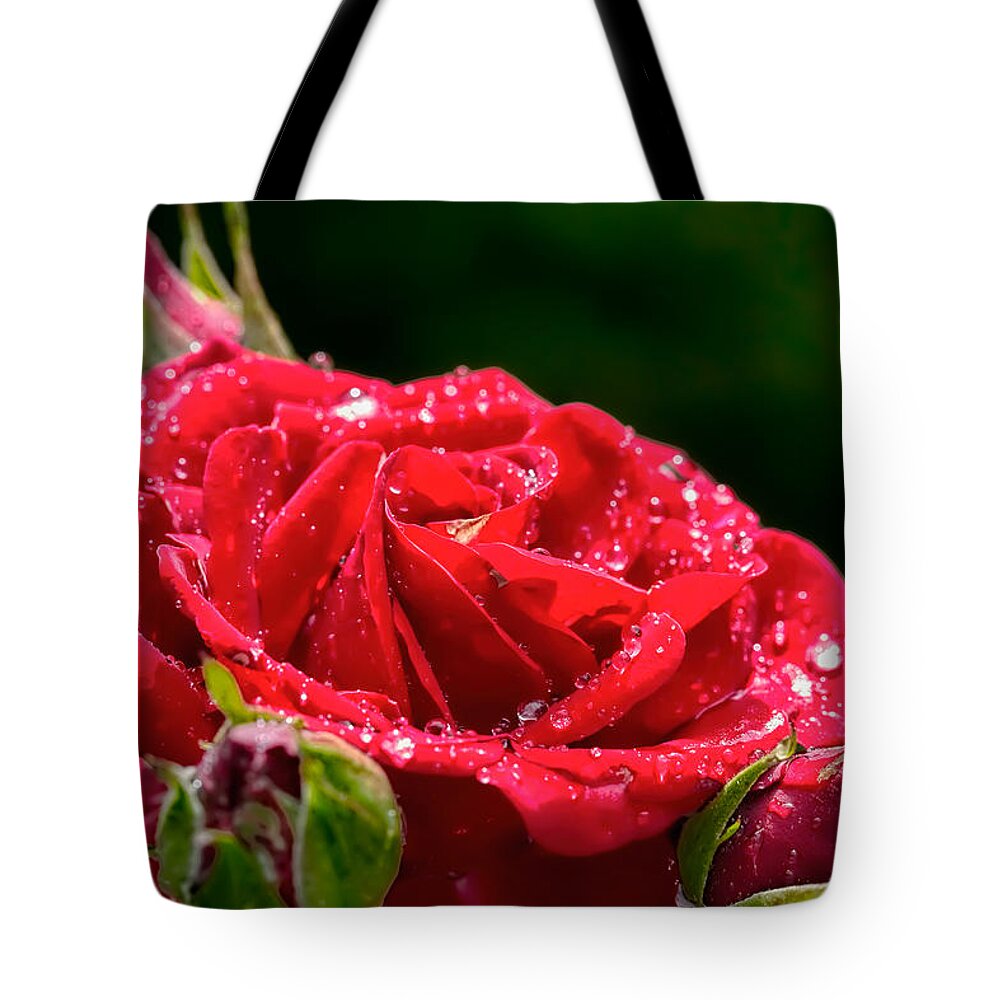Rose Tote Bag featuring the photograph Rose After Rain by Leif Sohlman
