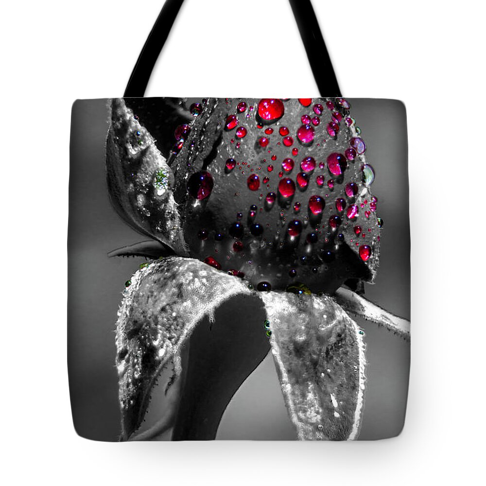 Rose Tote Bag featuring the photograph Rose after the rain by Wolfgang Stocker