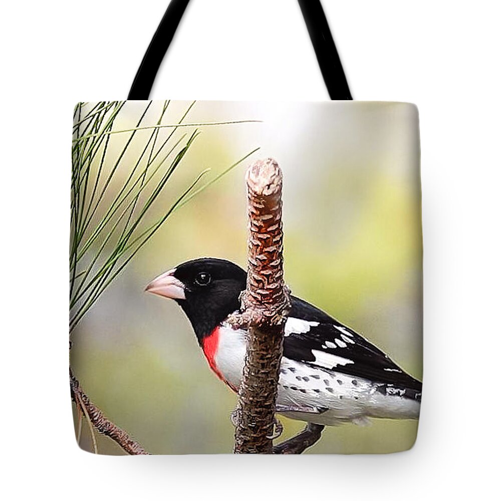 Peggy Franz Tote Bag featuring the photograph Rose Breasted Grosbeak Birds by Peggy Franz