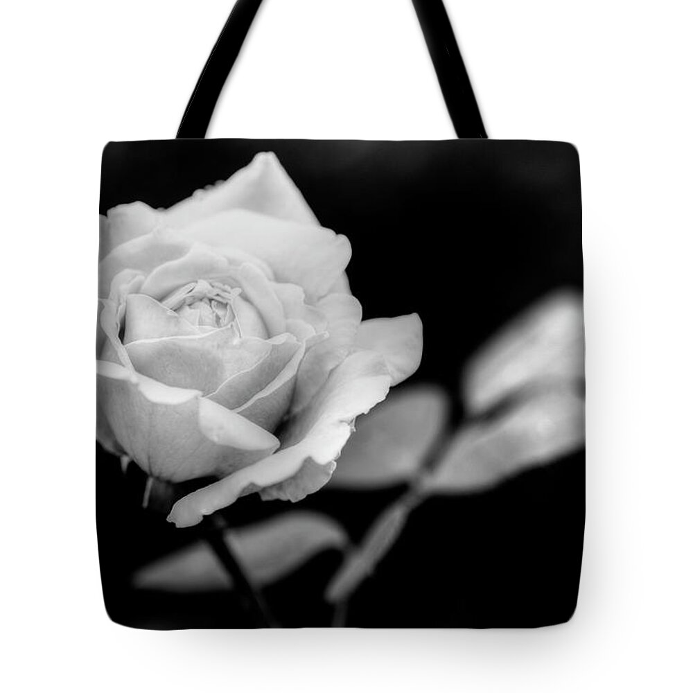 Colorado Tote Bag featuring the photograph Rose by Norman Reid