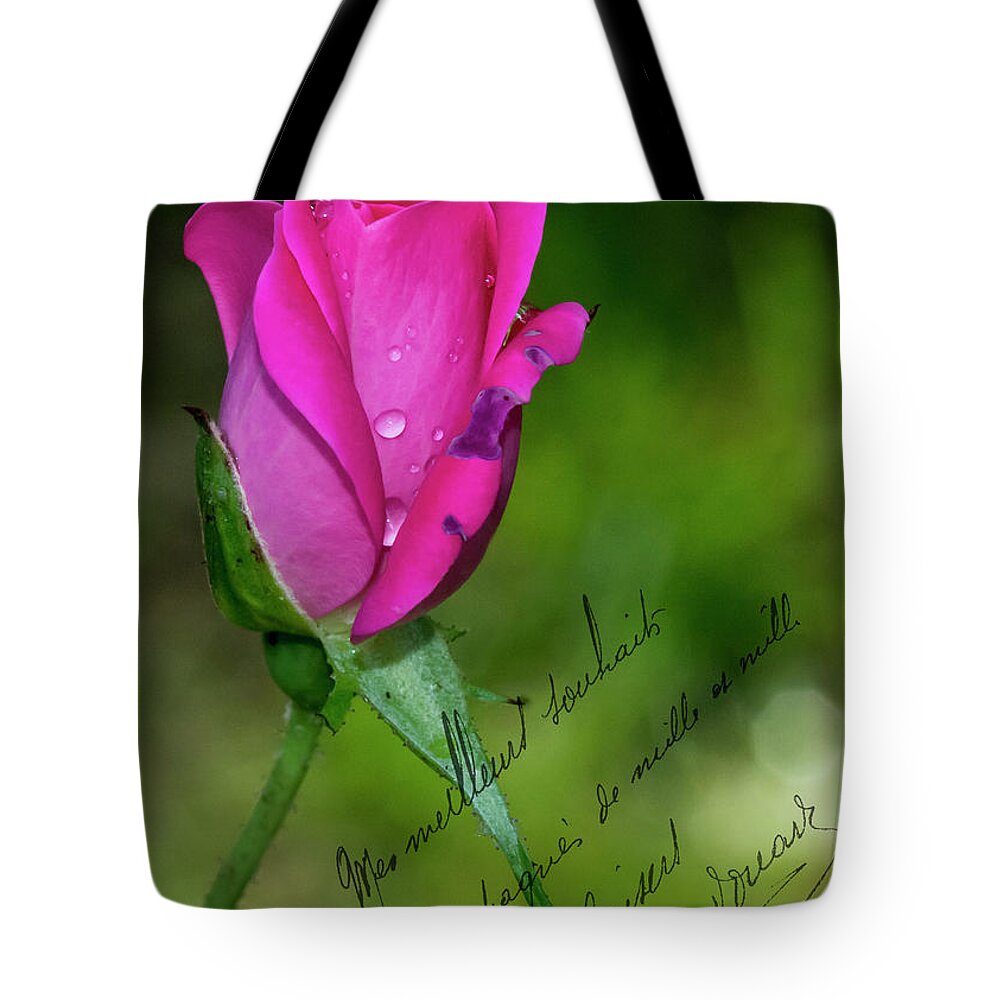 Note Card Tote Bag featuring the photograph Rose Notes by Cathy Kovarik