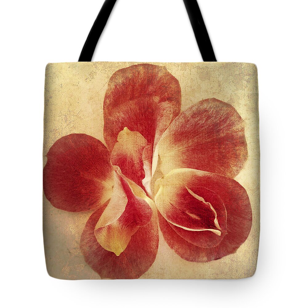 Rose Petals Tote Bag featuring the photograph Rose Petals by Linda Sannuti