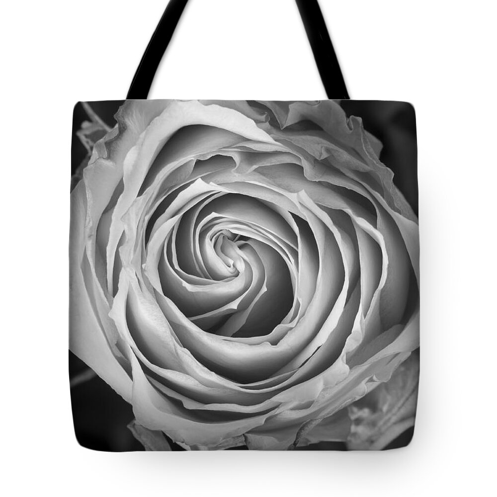 Rose Tote Bag featuring the photograph Rose Spiral Black and White by James BO Insogna