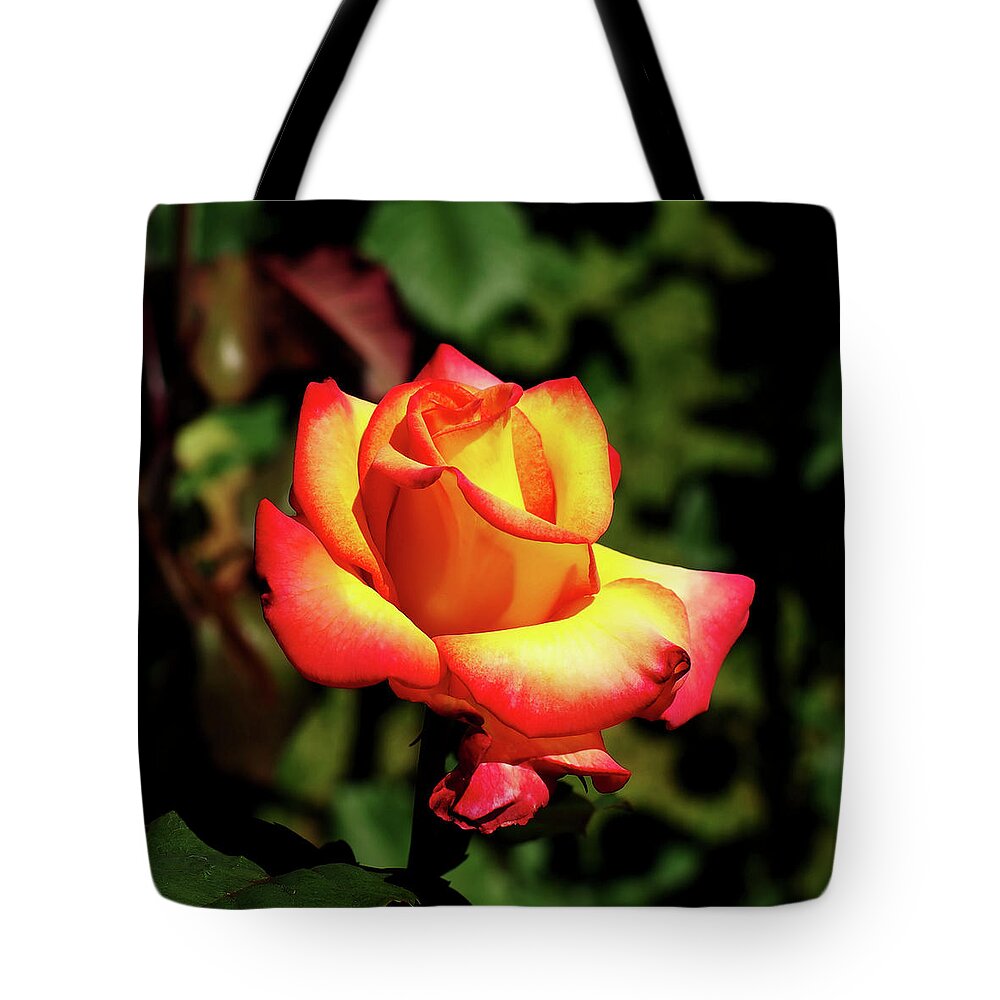 Flower Tote Bag featuring the photograph Rose to Remember by Dale Stillman