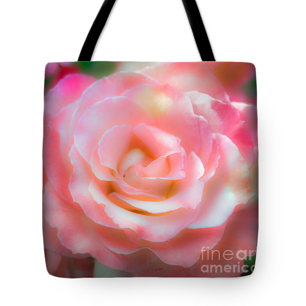 Roses Tote Bag featuring the photograph Rose by Toni Somes