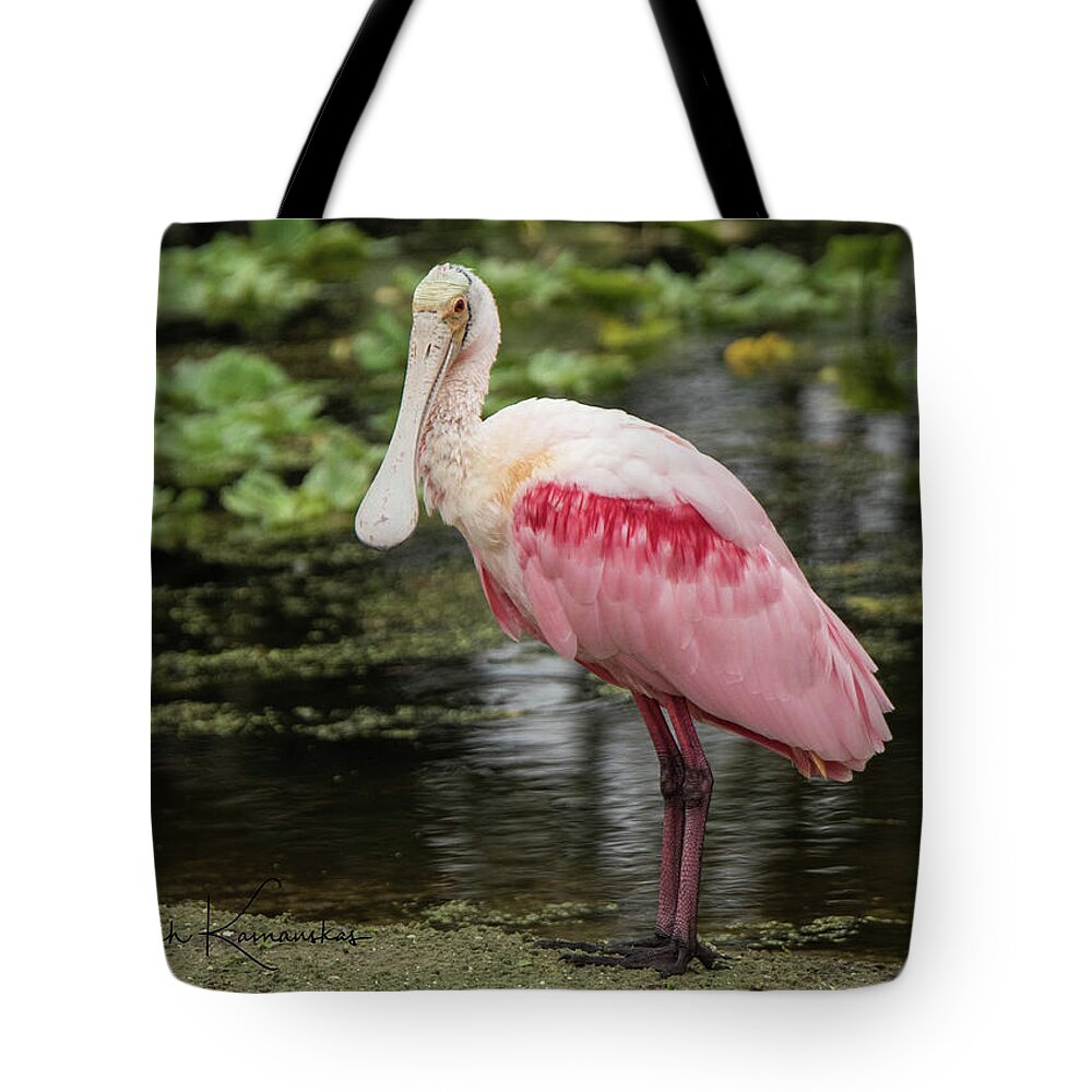 Florida Tote Bag featuring the photograph Roseate Spoonbill by Deborah Kainauskas