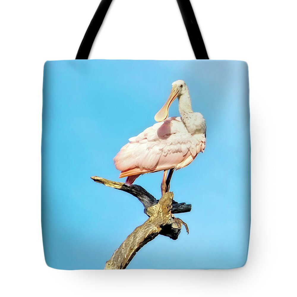 Roseate Spoonbill Tote Bag featuring the photograph Roseate Spoonbill by Mark Andrew Thomas