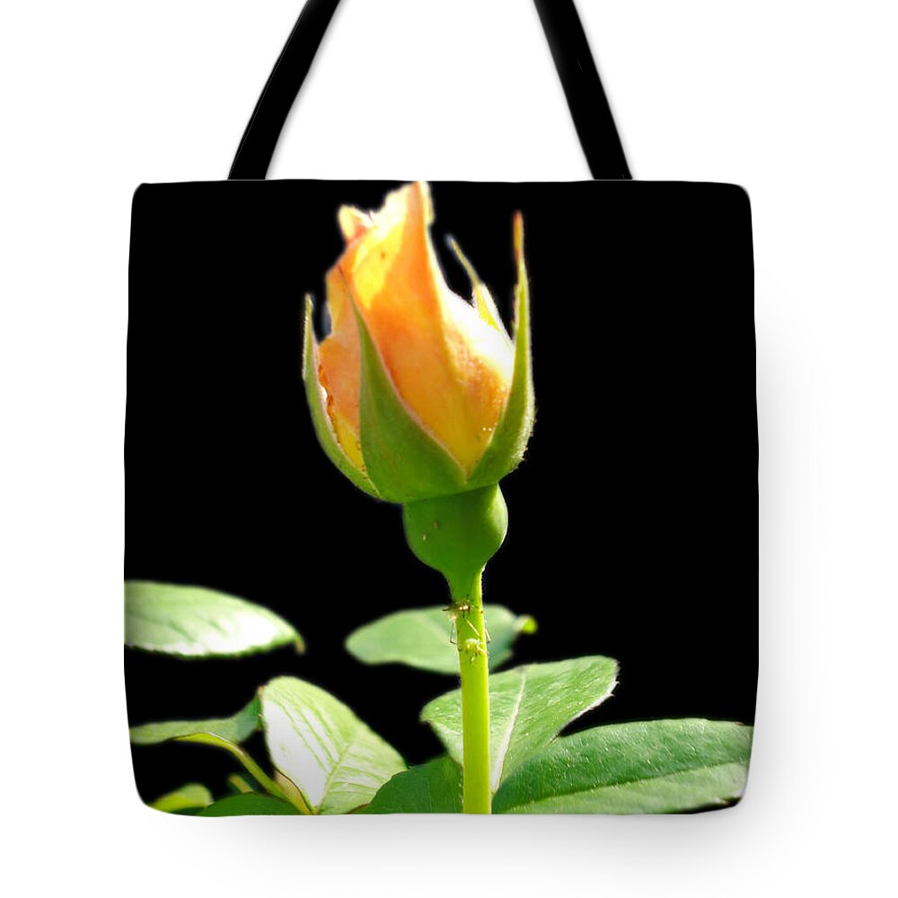 Roses Tote Bag featuring the photograph Rosebud by Leslie Manley