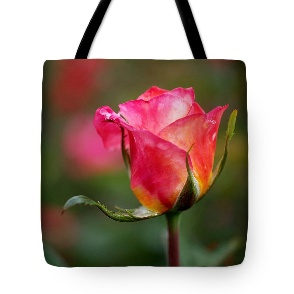 Rosebud Tote Bag featuring the photograph Rosebud by Rona Black
