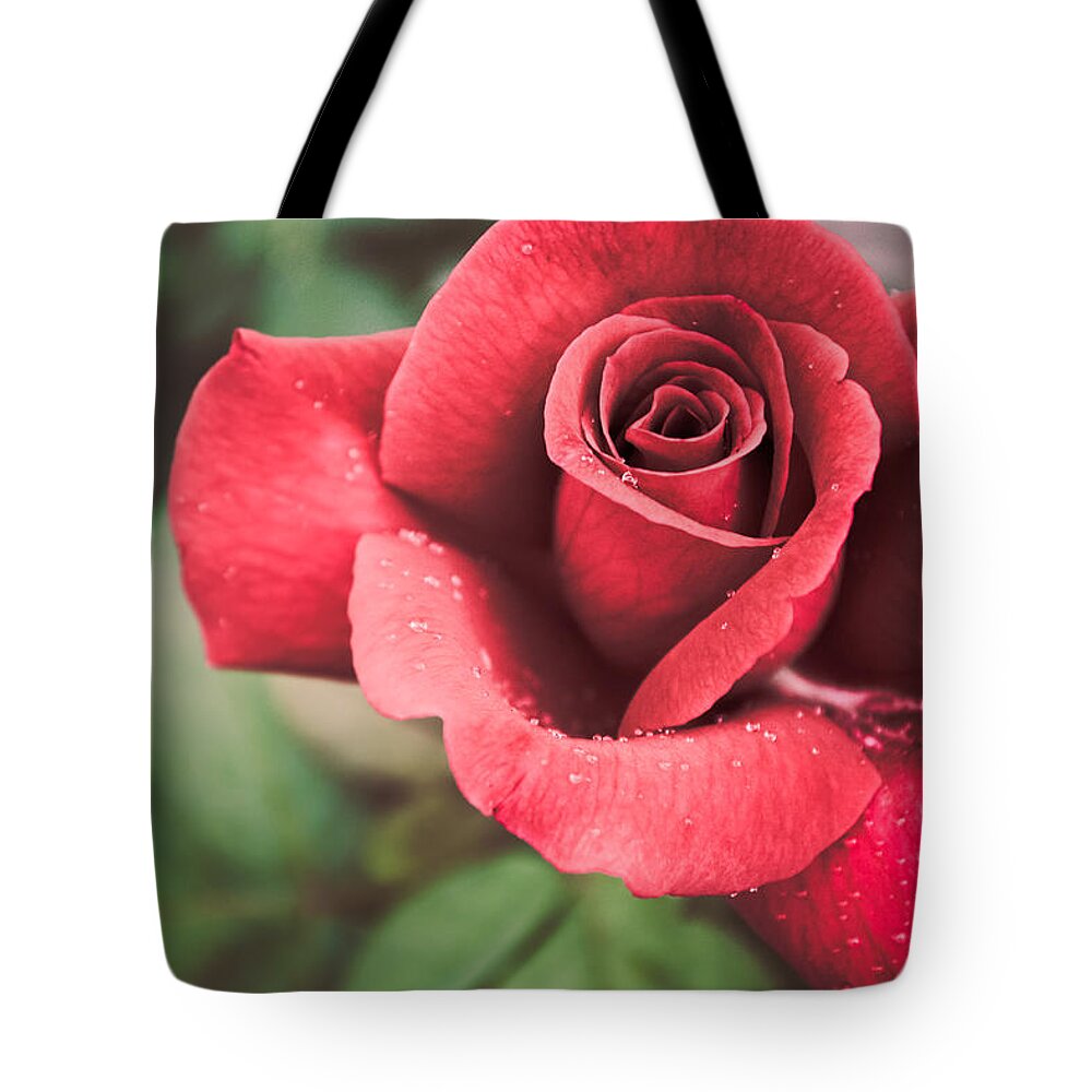 Flower Tote Bag featuring the photograph Roses Are Red by Parker Cunningham