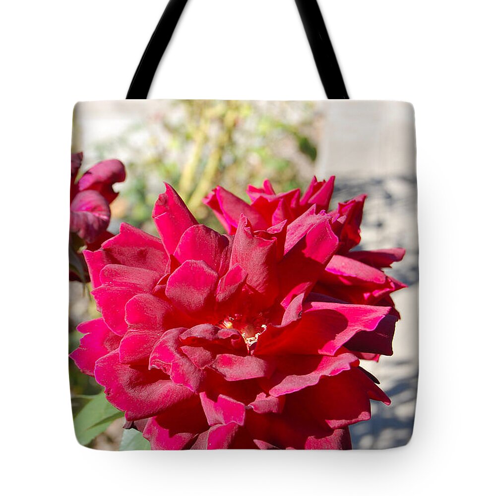 Roses Tote Bag featuring the photograph Roses Red by Carolyn Donnell