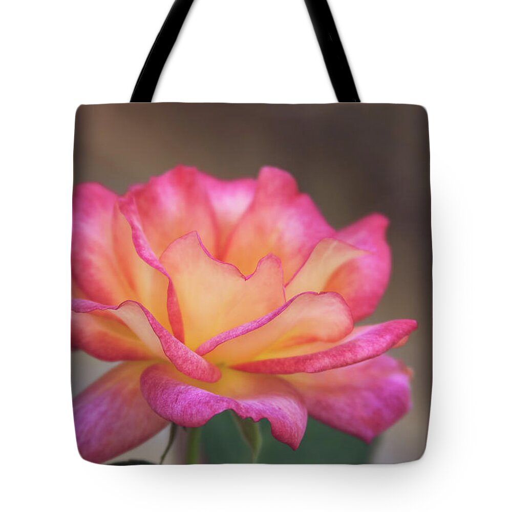Rose Tote Bag featuring the photograph Rosie by Joan Bertucci