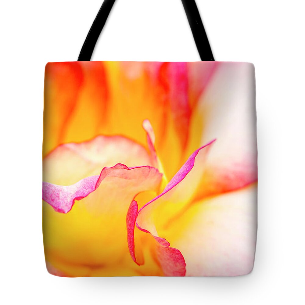 Valentine Tote Bag featuring the photograph Rosy Curves by Teri Virbickis