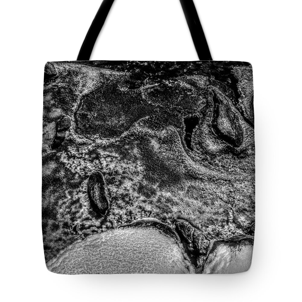 Ice Tote Bag featuring the photograph Rough Ice by Michael Brungardt