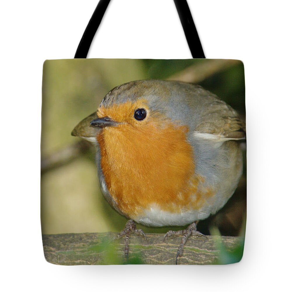 Robin Tote Bag featuring the photograph Round Robin by Adrian Wale