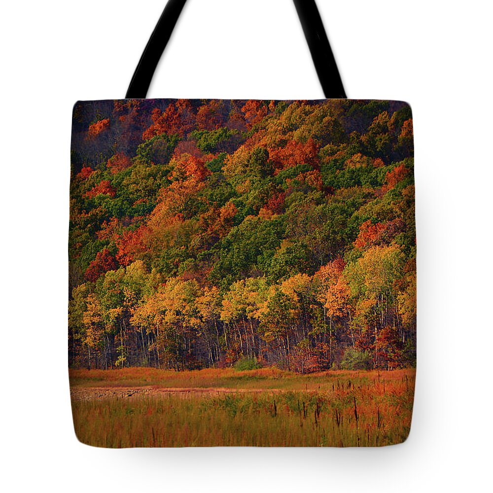 Round Valley State Park Tote Bag featuring the photograph Round Valley State Park 2 by Raymond Salani III