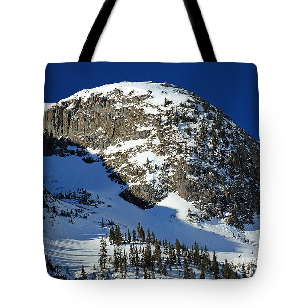 Landscape Tote Bag featuring the photograph Rounded Mountain by Mary Haber