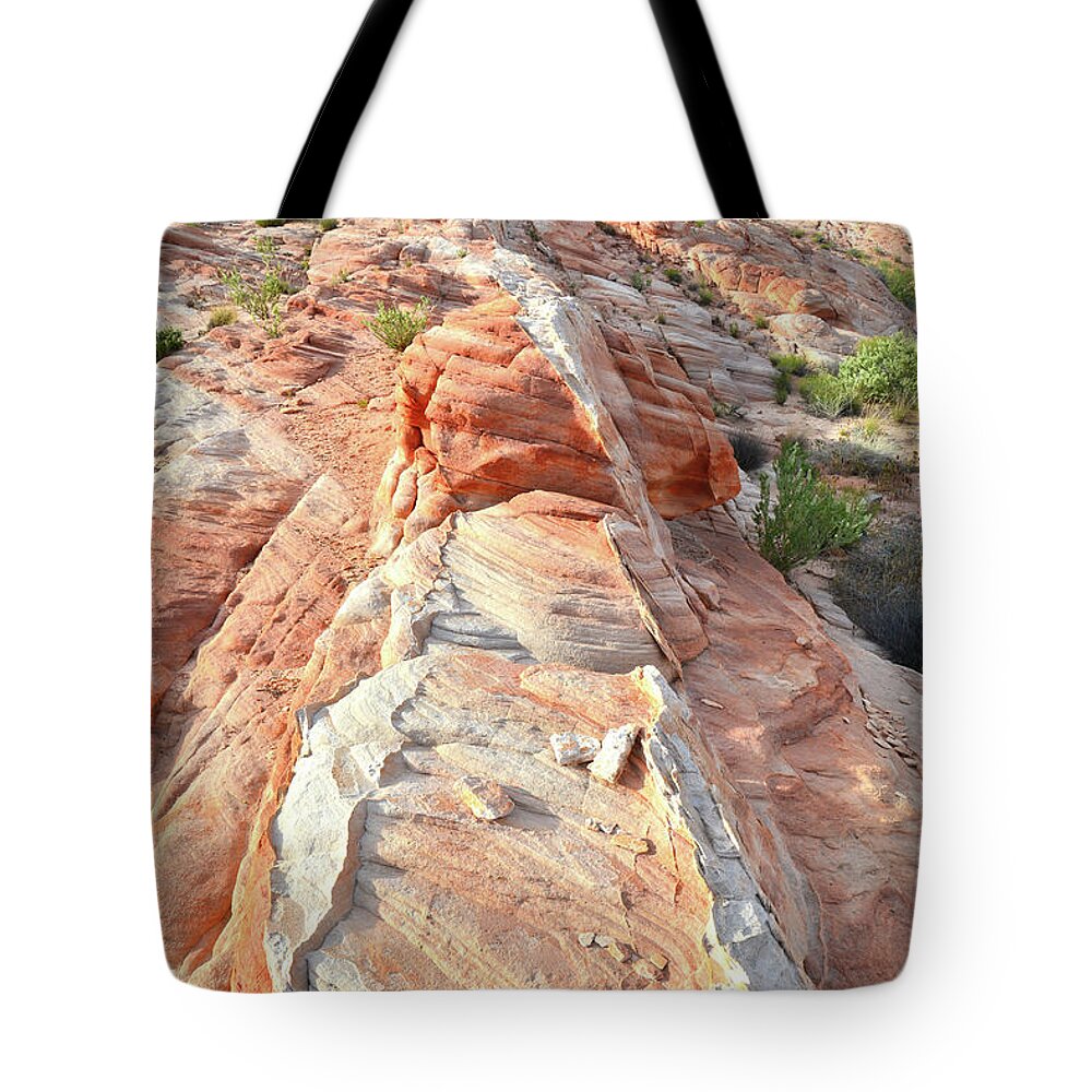 Valley Of Fire State Park Tote Bag featuring the photograph Row of Sandstone in Valley of Fire by Ray Mathis