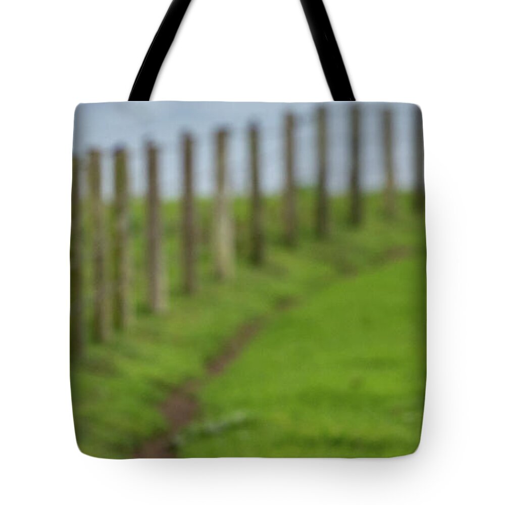 Owl Tote Bag featuring the photograph Row View by Kevin Dietrich