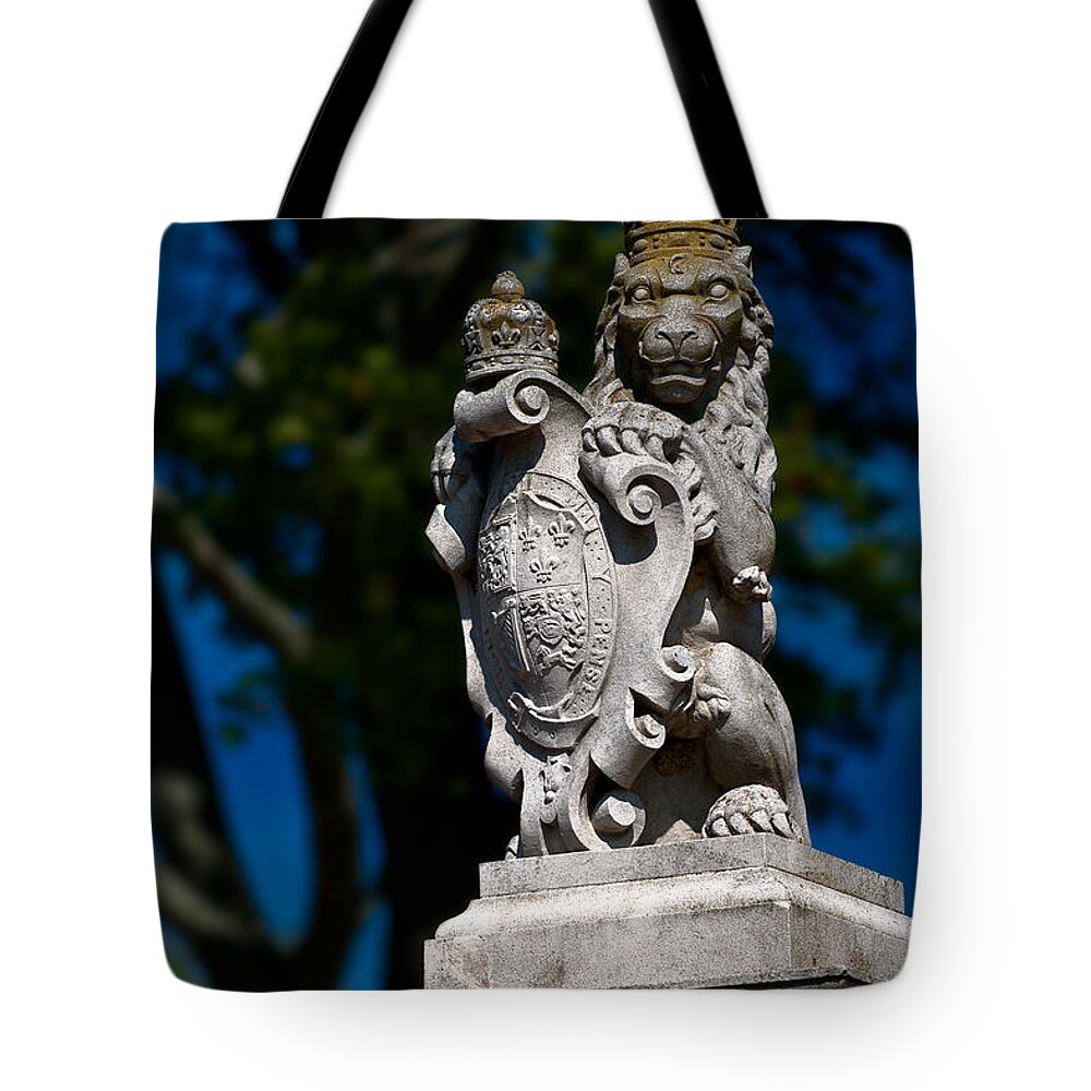 Lion Tote Bag featuring the photograph Royal Lion by Christopher Holmes