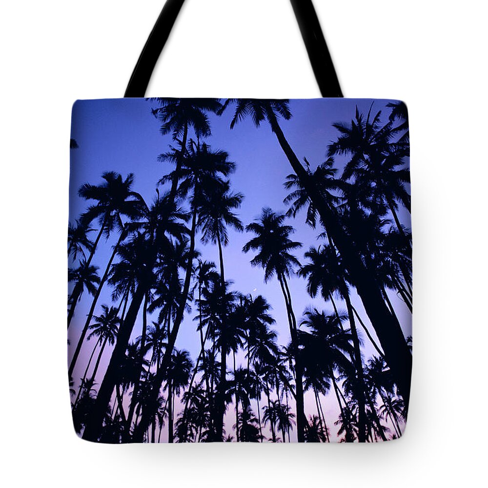 Allan Seiden Tote Bag featuring the photograph Royal Palm Grove by Allan Seiden - Printscapes
