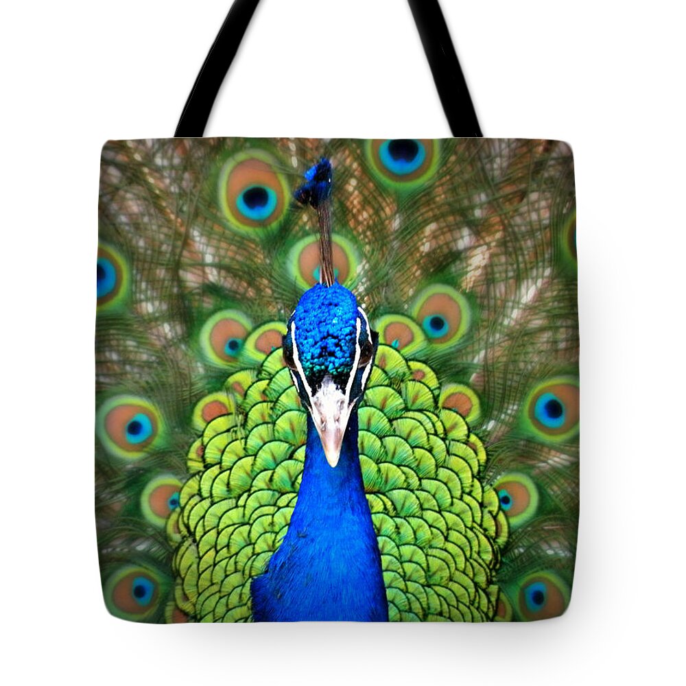 Royalty Tote Bag featuring the photograph Royalty by Micki Findlay