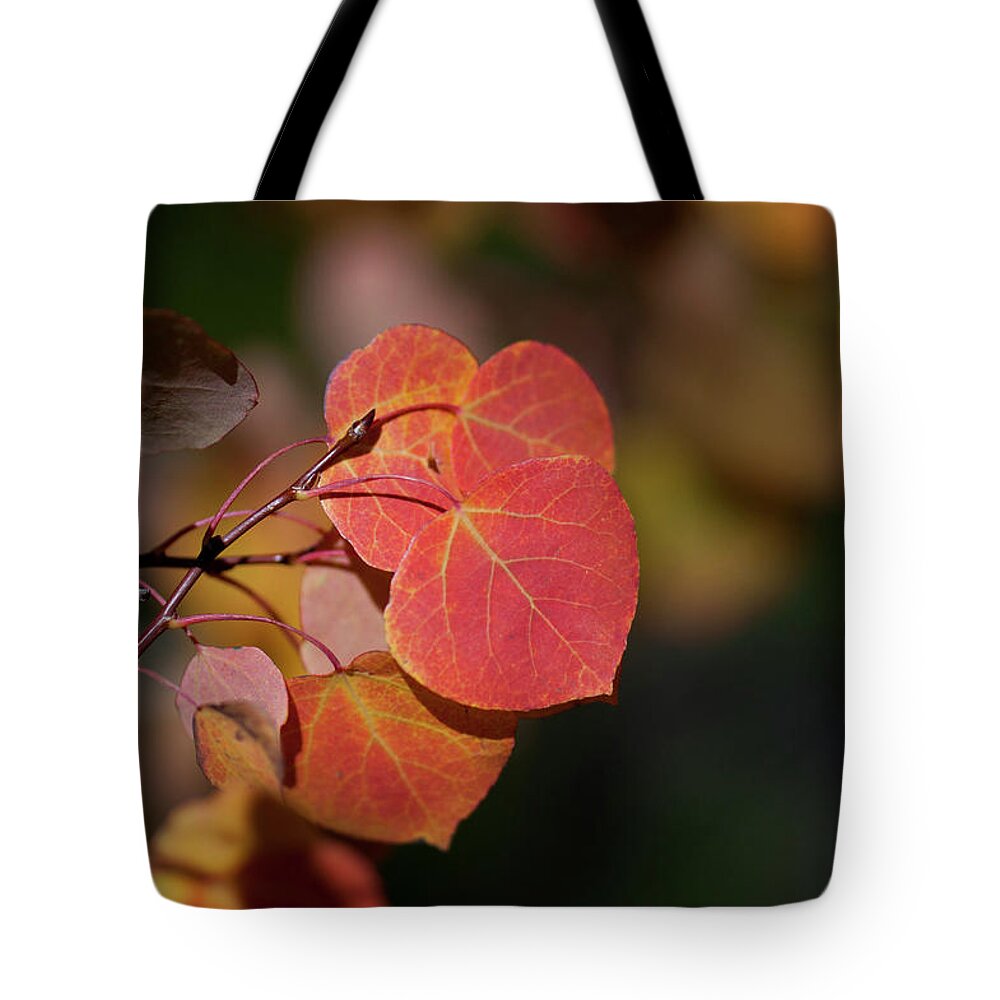 Tree Tote Bag featuring the photograph Ruby Aspens by Julia McHugh
