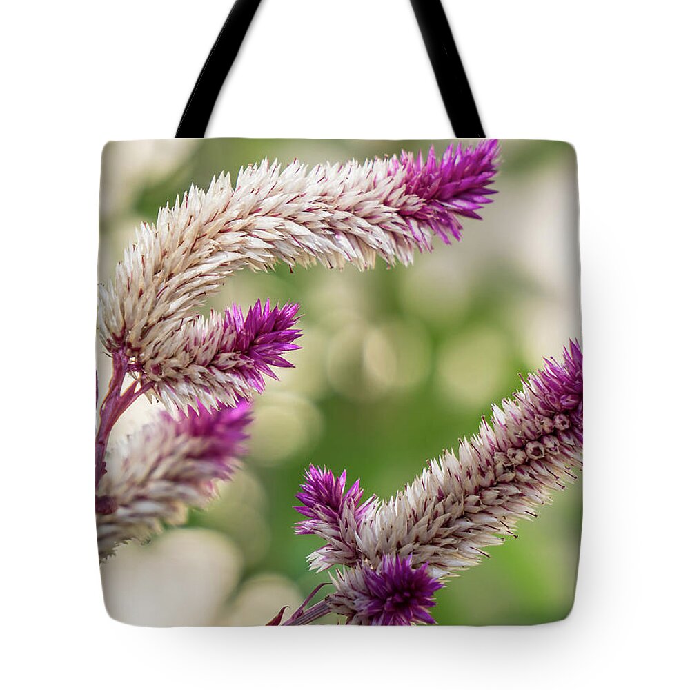 Florida Tote Bag featuring the photograph Ruby Parfait Celosia by Jane Luxton