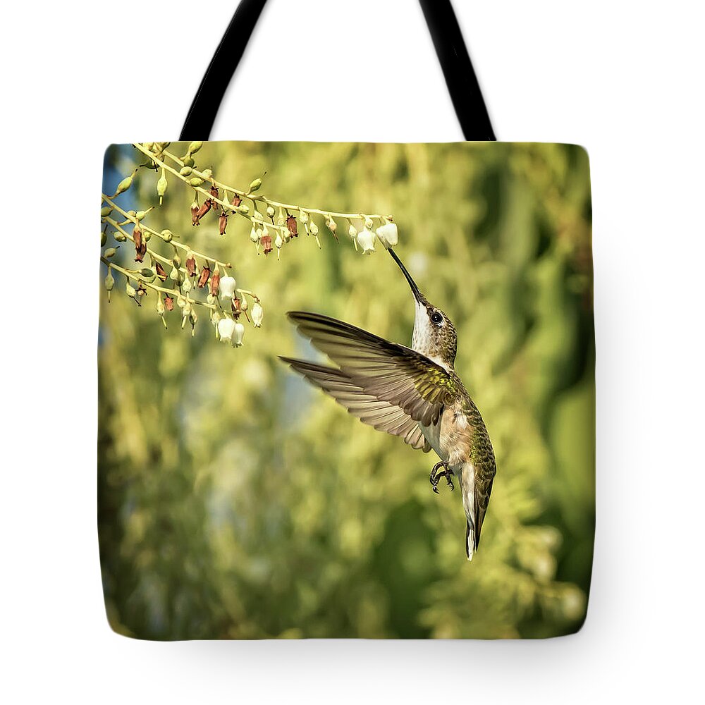 Hummingbird Tote Bag featuring the photograph Ruby Throated Hummingbird by Steven Upton