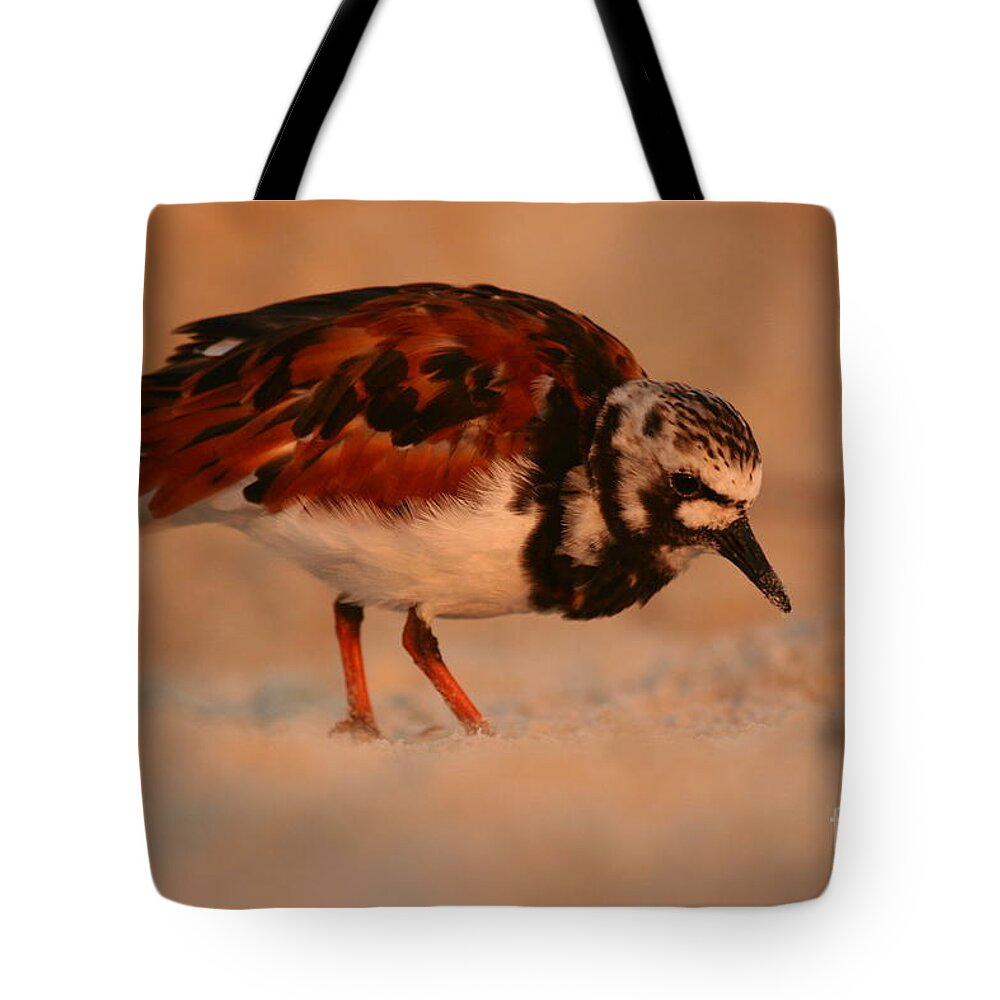 Birds Tote Bag featuring the photograph Turning The Stone by John F Tsumas