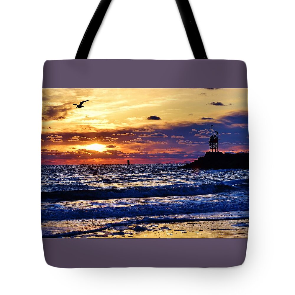 Sunrise Tote Bag featuring the photograph Rudee's Beauty by Nicole Lloyd