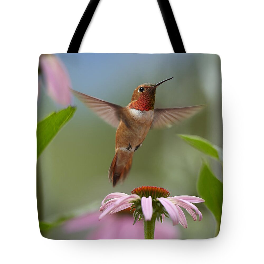 00486968 Tote Bag featuring the photograph Rufous Hummingbird Male Feeding by Tim Fitzharris