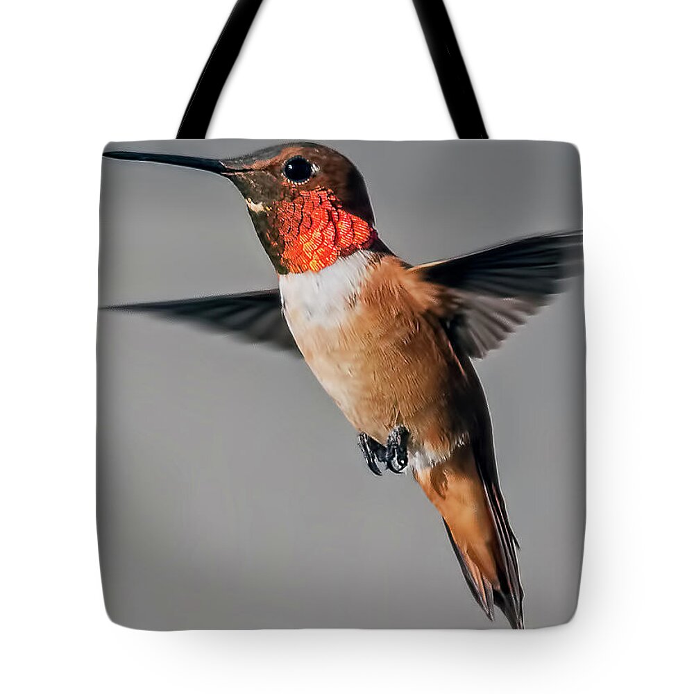 Rufous Hummingbird Tote Bag featuring the photograph Rufous Male in-Flight by Stephen Johnson