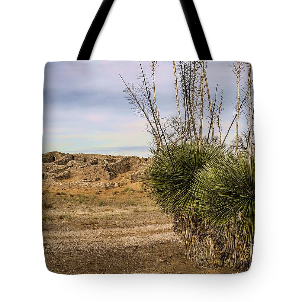 Aztec Tote Bag featuring the photograph Ruins And Yucca Faxoniana by Jaime Miller