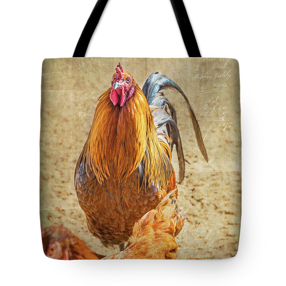 Chicken Tote Bag featuring the photograph Ruler of the Roost by Jennifer Grossnickle
