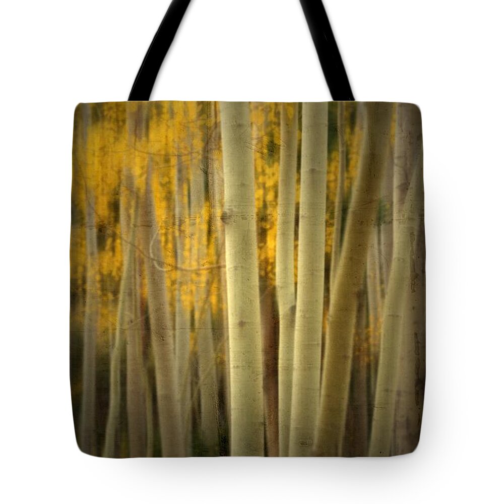 Fall Tote Bag featuring the photograph Run Wild by Mark Ross