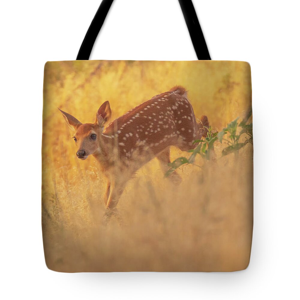 Colorado Tote Bag featuring the photograph Running In Sunlight by John De Bord