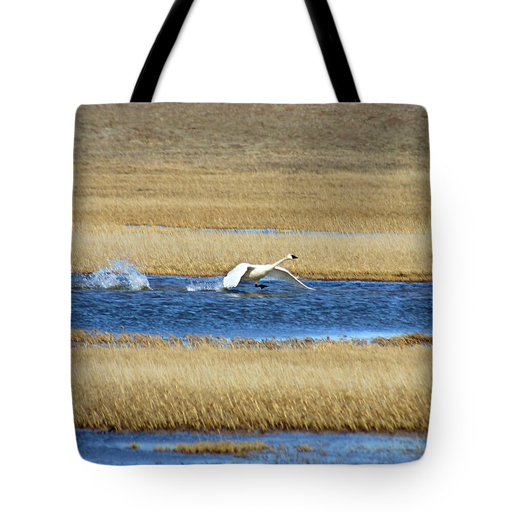 Swan Tote Bag featuring the photograph Running on Water by Anthony Jones