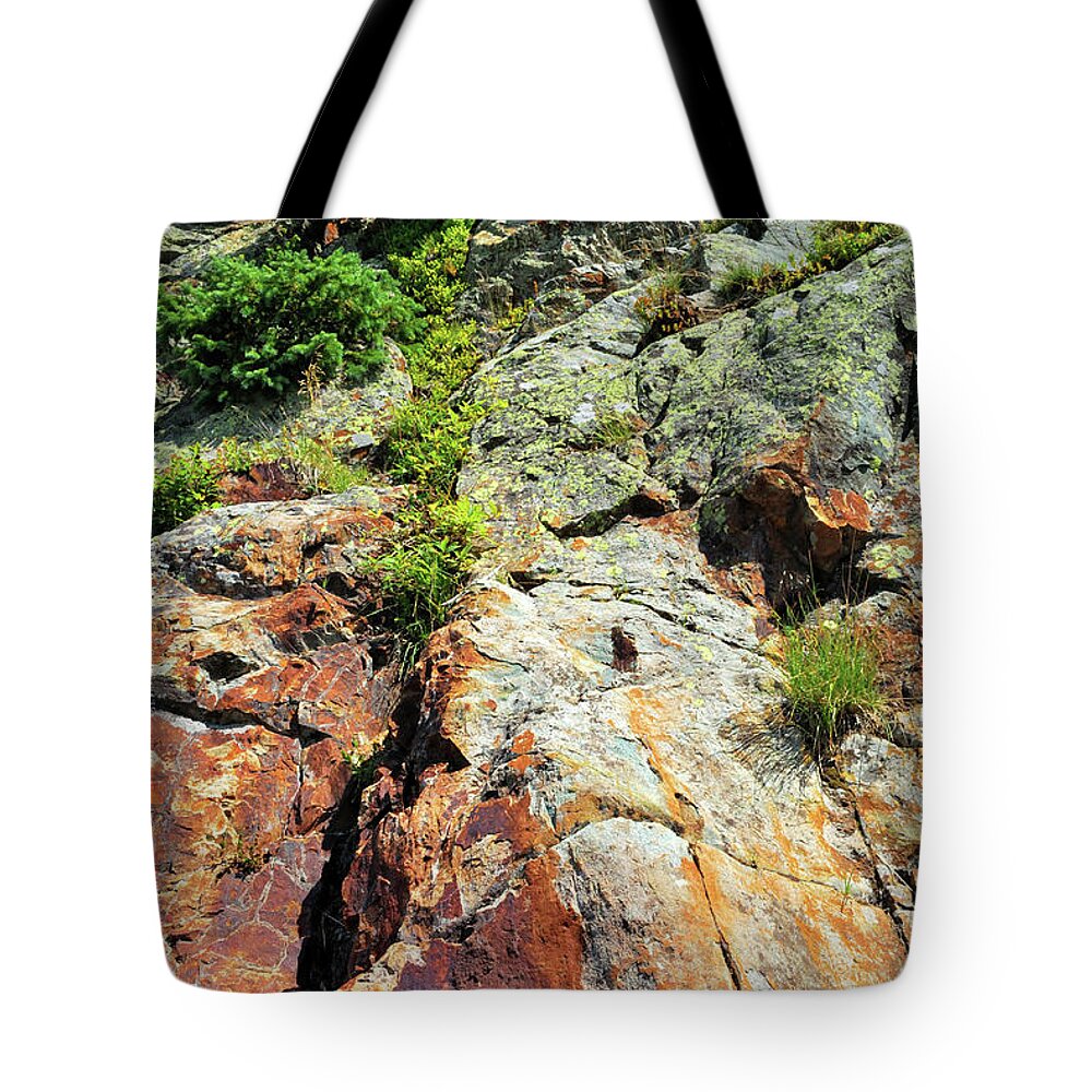 Rock Tote Bag featuring the photograph Rusty Rock Face by Ron Cline