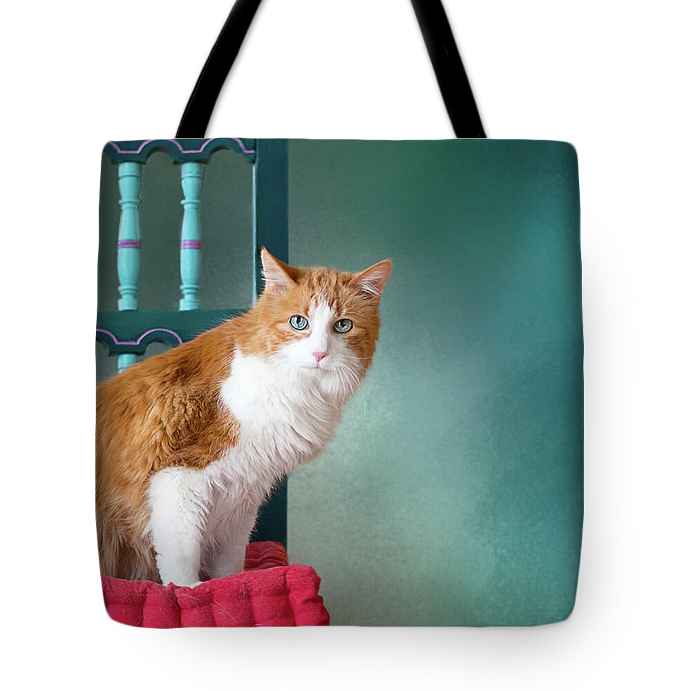 Blue Eyes Tote Bag featuring the photograph Rusty by Susan Warren