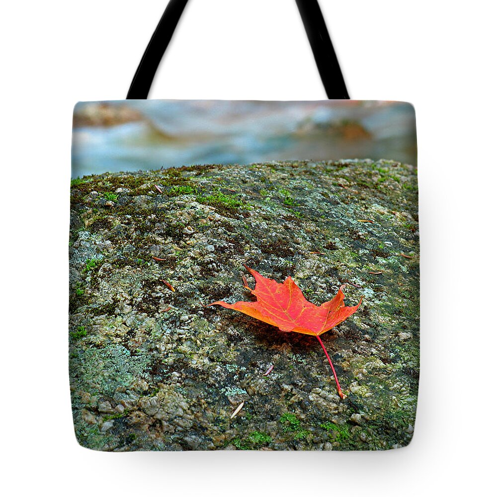 New England Tote Bag featuring the photograph Sabbaday Brook by Juergen Roth