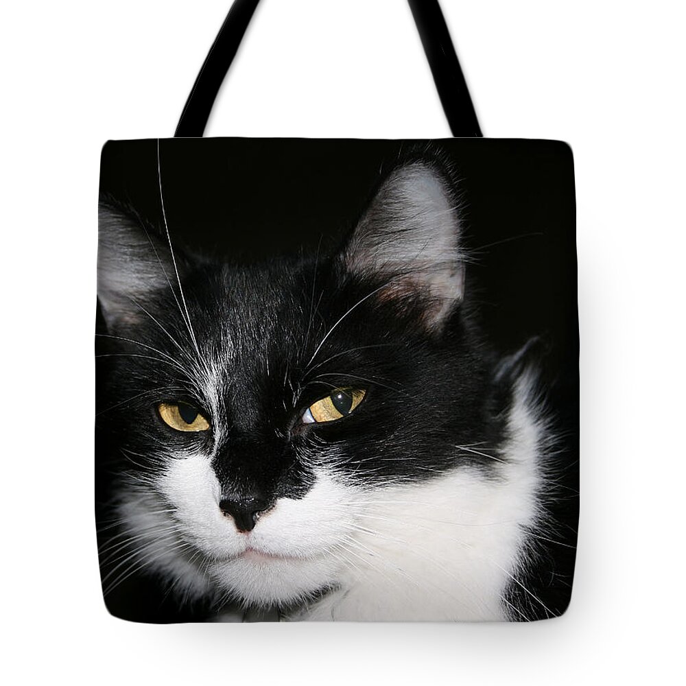 Cat Tote Bag featuring the photograph Sabrina by Karen Harrison Brown