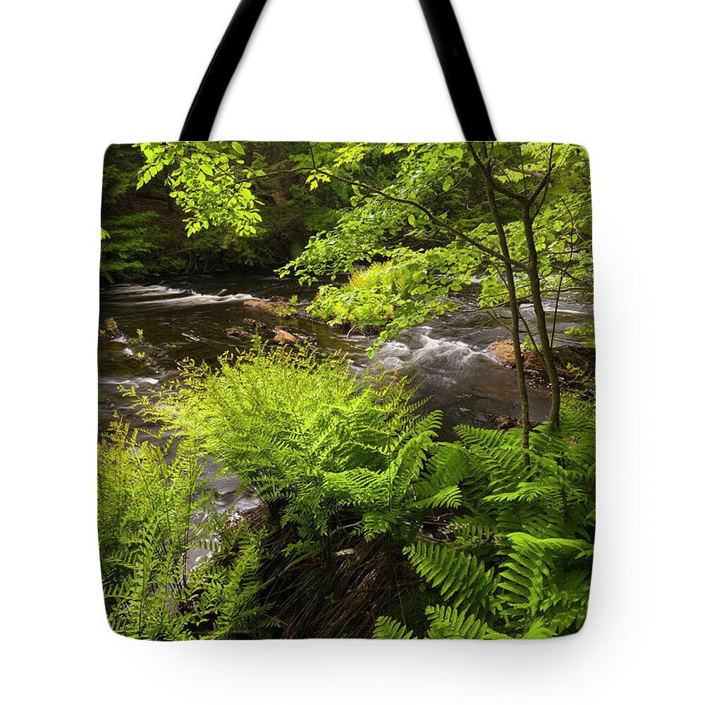 River Tote Bag featuring the photograph Sackville River In Late Spring #1 by Irwin Barrett