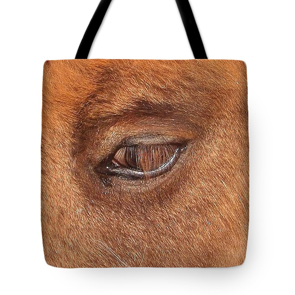Eye Tote Bag featuring the photograph Sad Eyed Dreamer by Richard Brookes