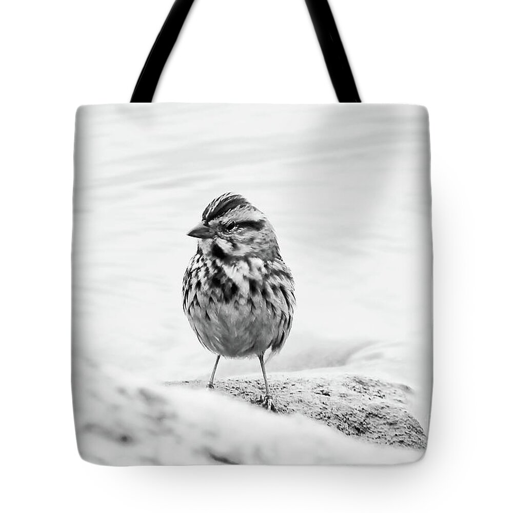 Christian Tote Bag featuring the photograph Safe and Secure by Anita Oakley