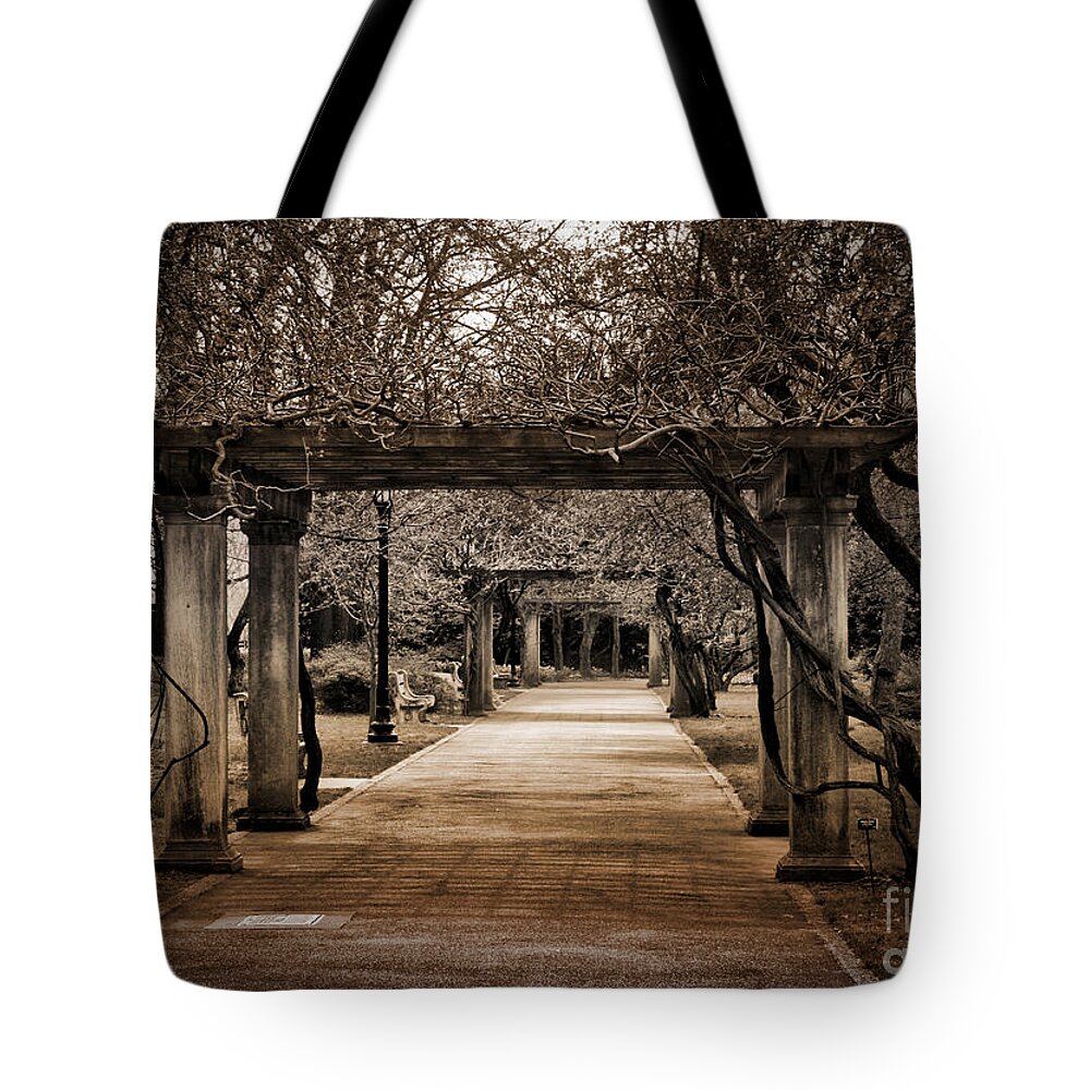 Passage Tote Bag featuring the photograph Safe Passage by Onedayoneimage Photography