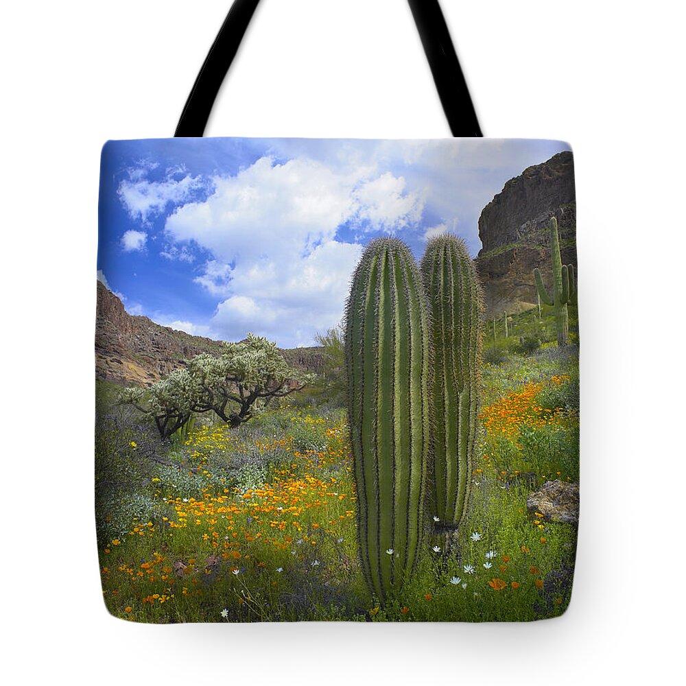 00175595 Tote Bag featuring the photograph Saguaro Amid Flowering Lupine by Tim Fitzharris