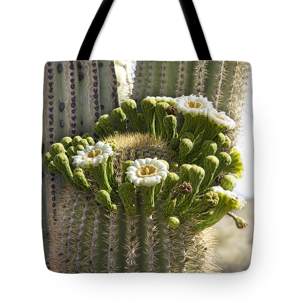 Arizona Tote Bag featuring the photograph Saguaro Cactus Bloom by James BO Insogna