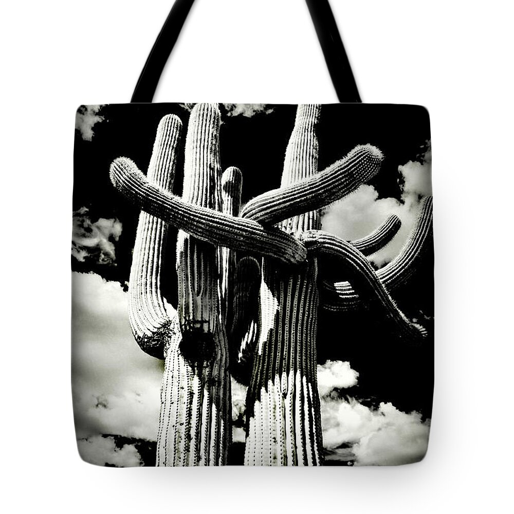 Usa Tote Bag featuring the photograph Saguaro Embrace by Roger Passman
