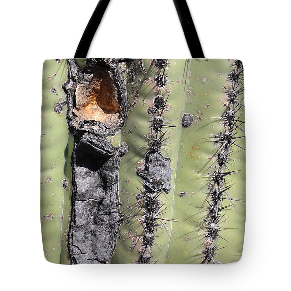 Saguaro Tote Bag featuring the photograph Saguaro Scar by Mary Bedy